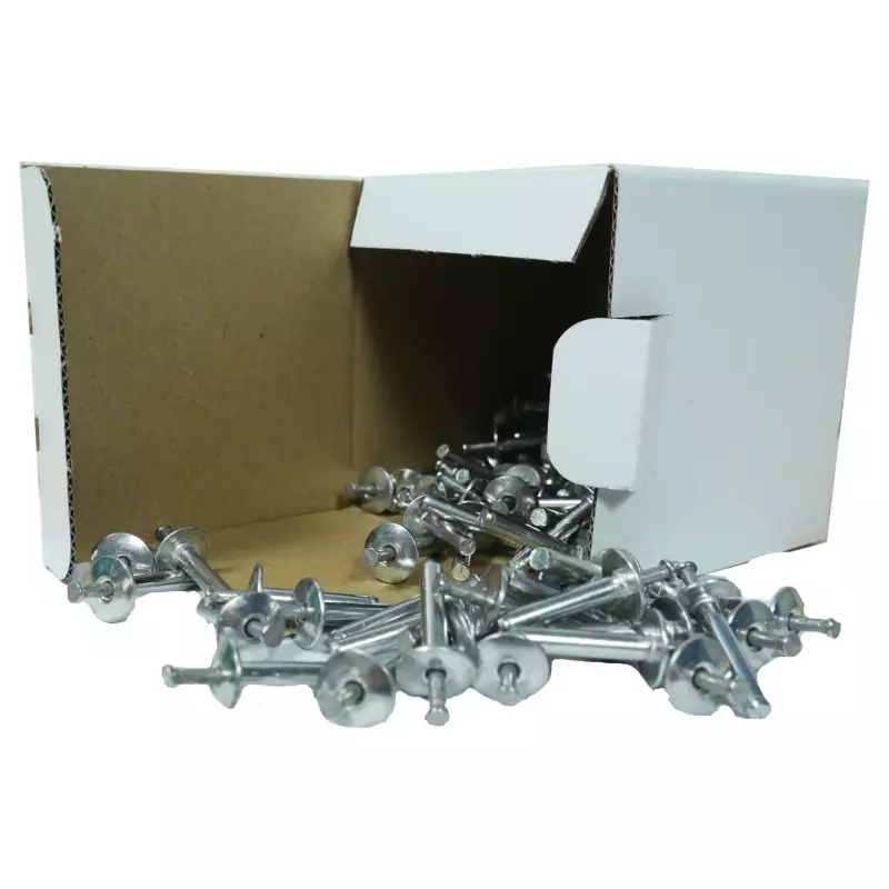 100 Rivets expansés 4,8 x 25 100 Rivets expansés 4,8 x 25