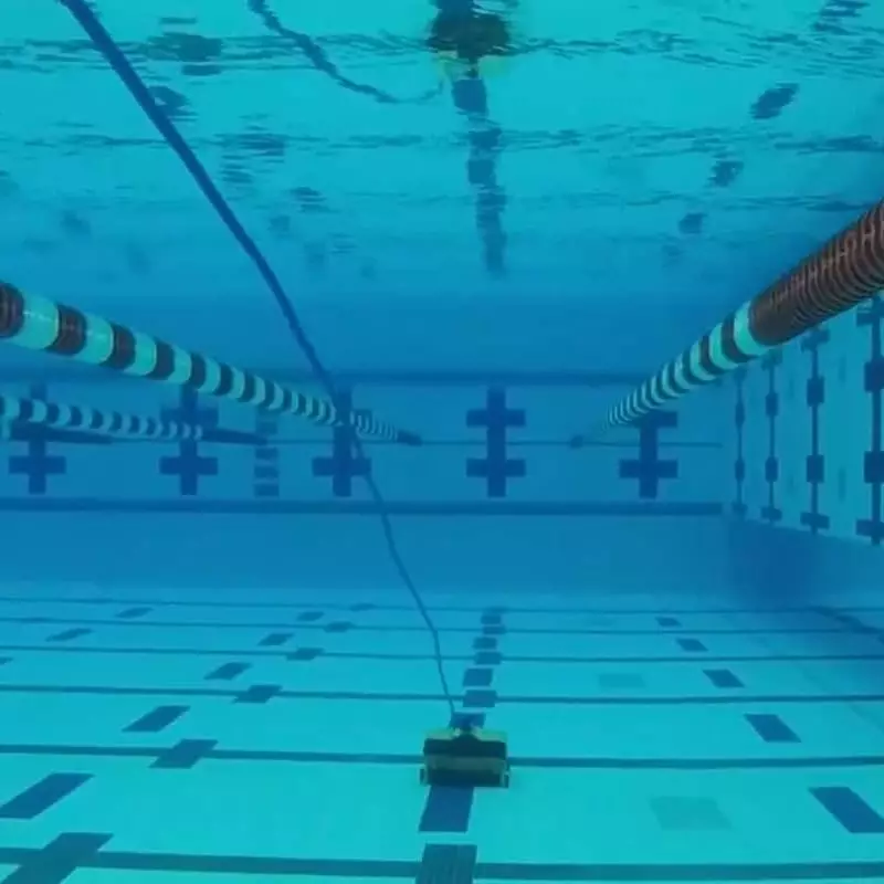 Robot piscine Dolphin wave 150