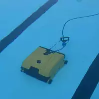 Robot piscine Dolphin Wave 200XL