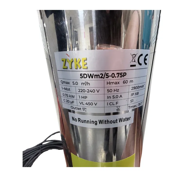 Pompe immergée 5 DWm - Zyke