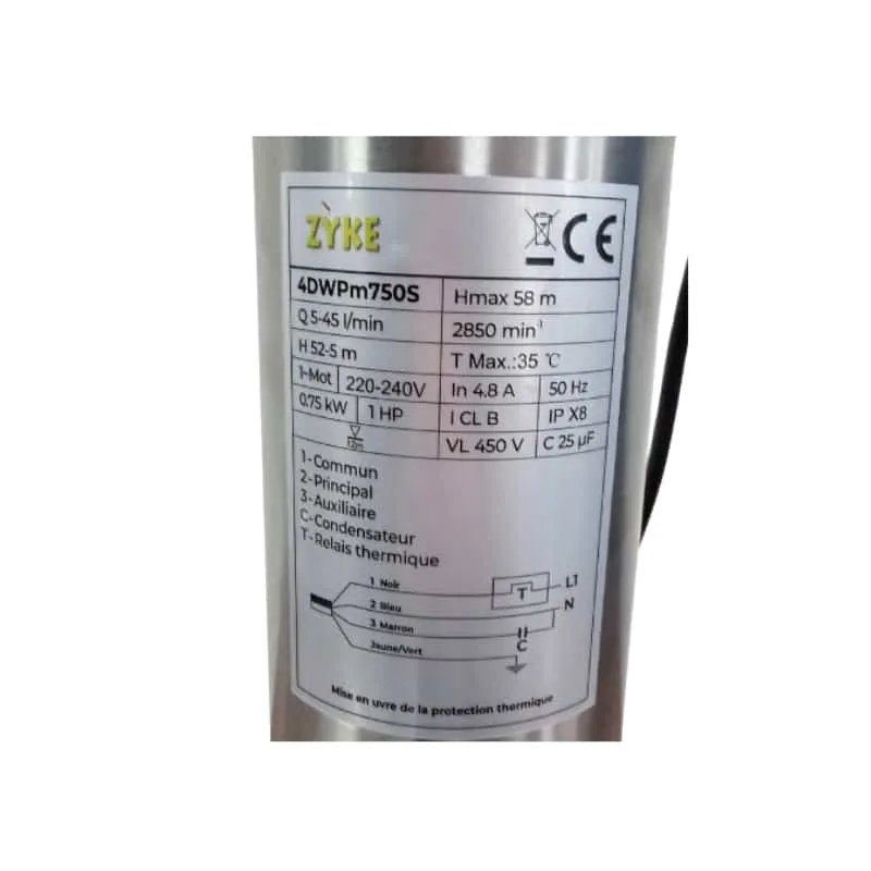 Pompe immergée 4 DWp