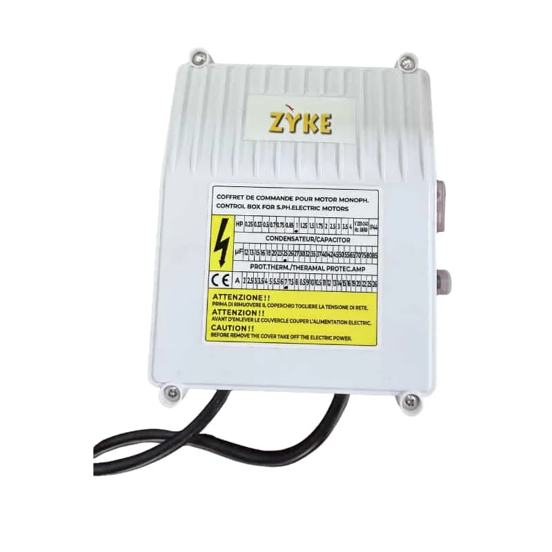 Pompe immergée 4 DWp