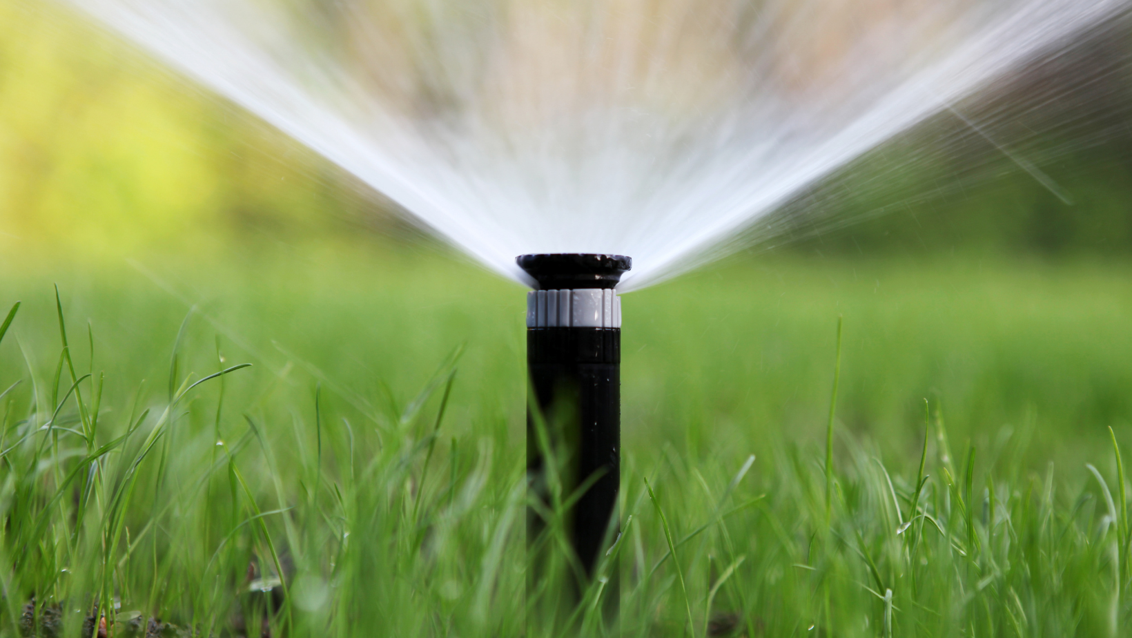 Arrosage Automatique Zyke Piscine