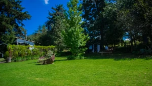 L'Entretien de votre Jardin avec Zyke Piscine