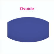 Ovoïde